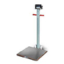 Cambridge Model PB-P Series Portable Platform Scales