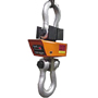 Hydroscale Weigh-Master III Crane Scale