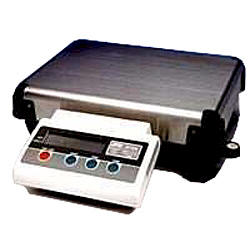 AND FG Series Digital Platform Scales - Click Image to Close