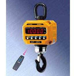 CAS CASTON IV Crane Scales - Click Image to Close