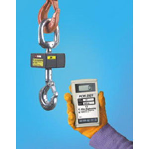 Eilon RON 2501 (Hook Type) Multi-function Crane Scale (Wireless) - Click Image to Close