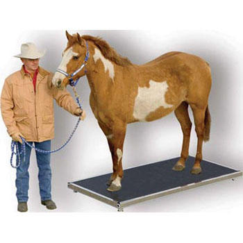 Salter Brecknell ES2500 Equestrian Scales - Click Image to Close