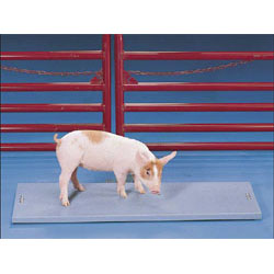 Salter Brecknell Vet Deck Animal Weighing Systems - Click Image to Close