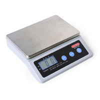 Avery Berkel Model 6010 Series Food Service Scale