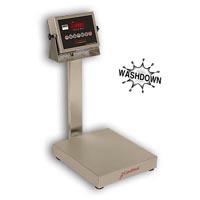 Detecto EB-205 Series Stainless Steel Bench Scales