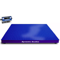 Dynamic Scales Industrial Floor Scales