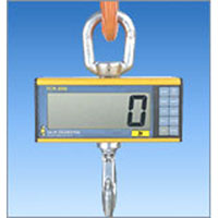 Eilon RON 3050 Low Headroom Crane Scale