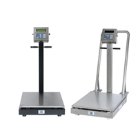 GSE Model PT 800 Portable Floor Scales