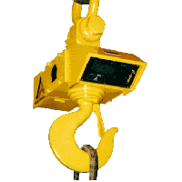 Holtgreven Allegany 1020 Series Crane Scales