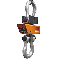 Hydroscale Weigh-Master III Crane Scale