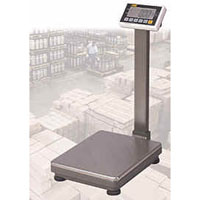 IWT BM & FM Series Heavy Duty Bench & Platform Scales