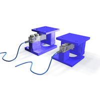 Massload Technologies ML100 Weighing Assembly