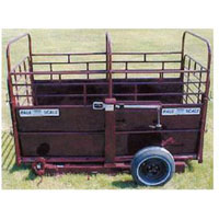 Paul Scales Model 602S Livestock Scale