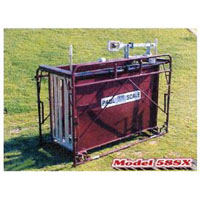 Paul Scales 58SX Hog & Sheep Crate Scale