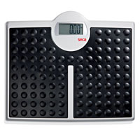 Seca 813 High Capacity Digital Floor / Flat Scale