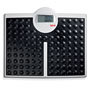 Seca 813 High Capacity Digital Floor / Flat Scale