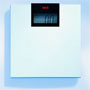 Seca 841 Digital Flat Scale